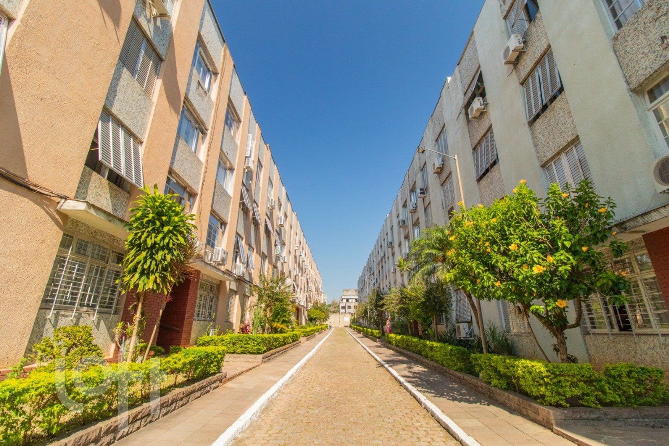 Imagem da propriedade 5