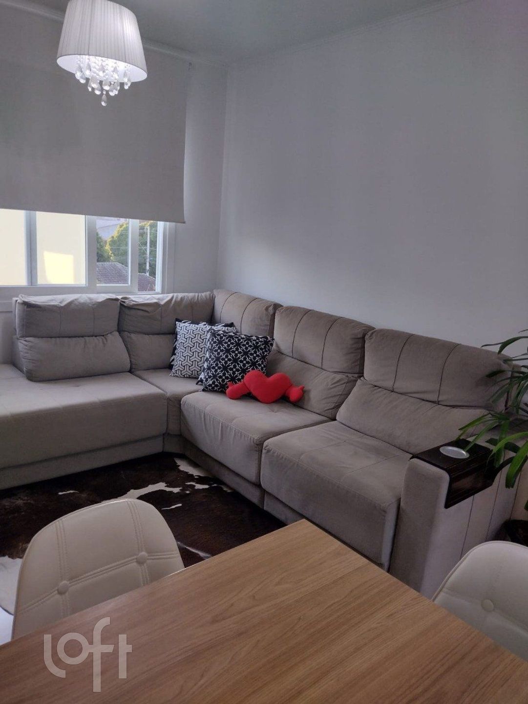 Imagem da propriedade 3