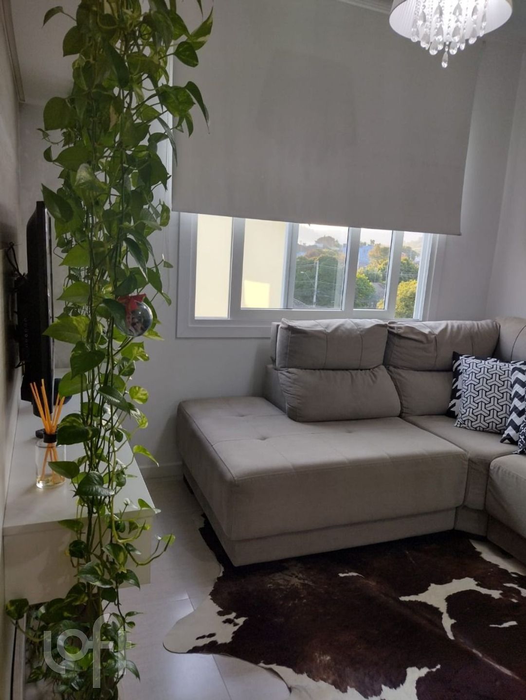 Imagem da propriedade 18