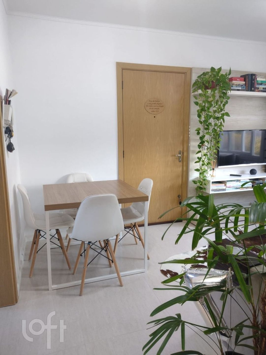 Imagem da propriedade 7