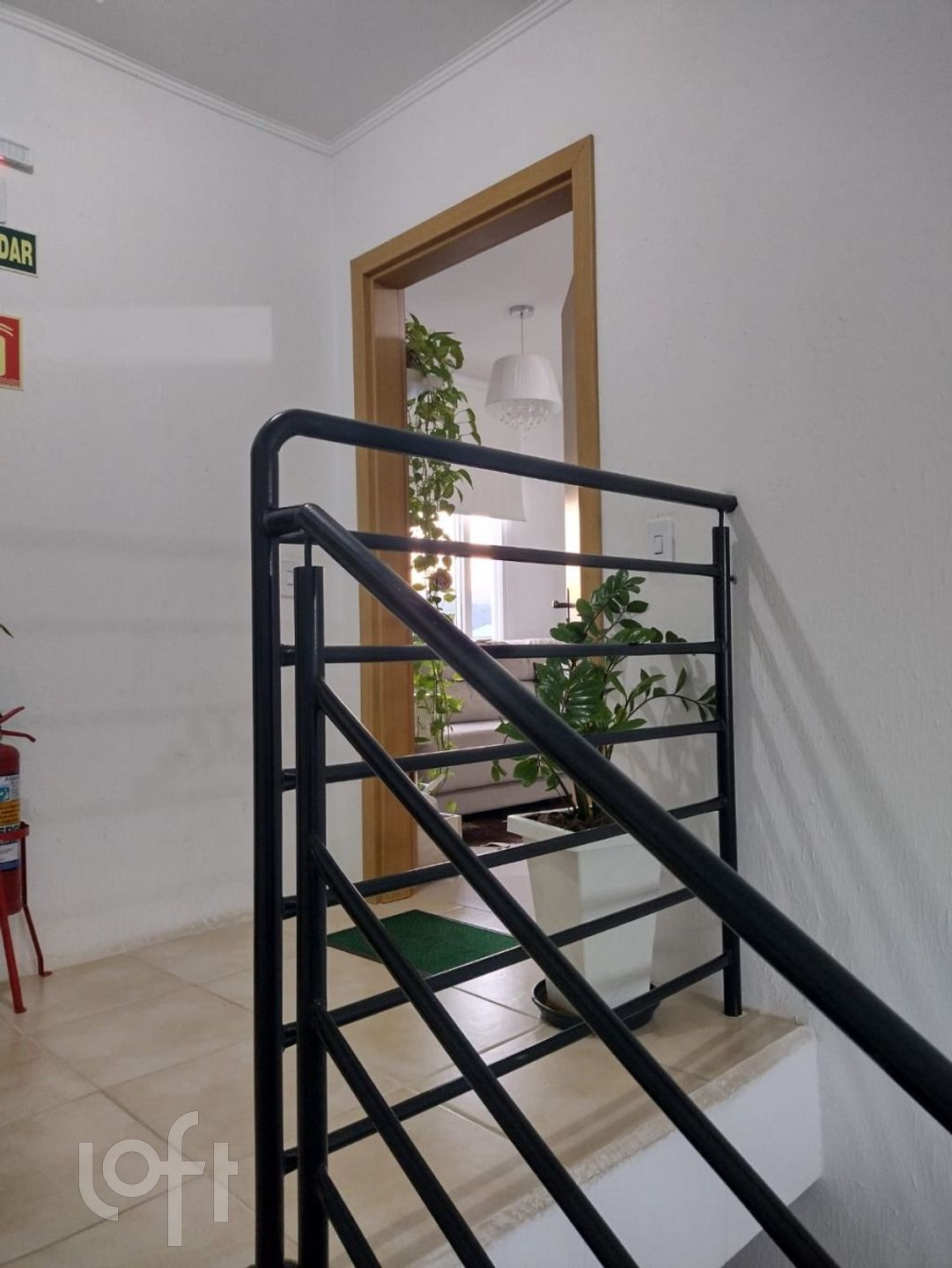 Imagem da propriedade 25