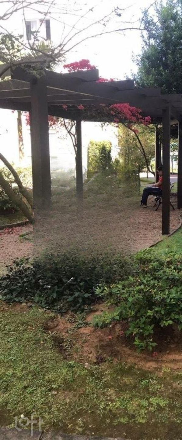 Imagem da propriedade 29