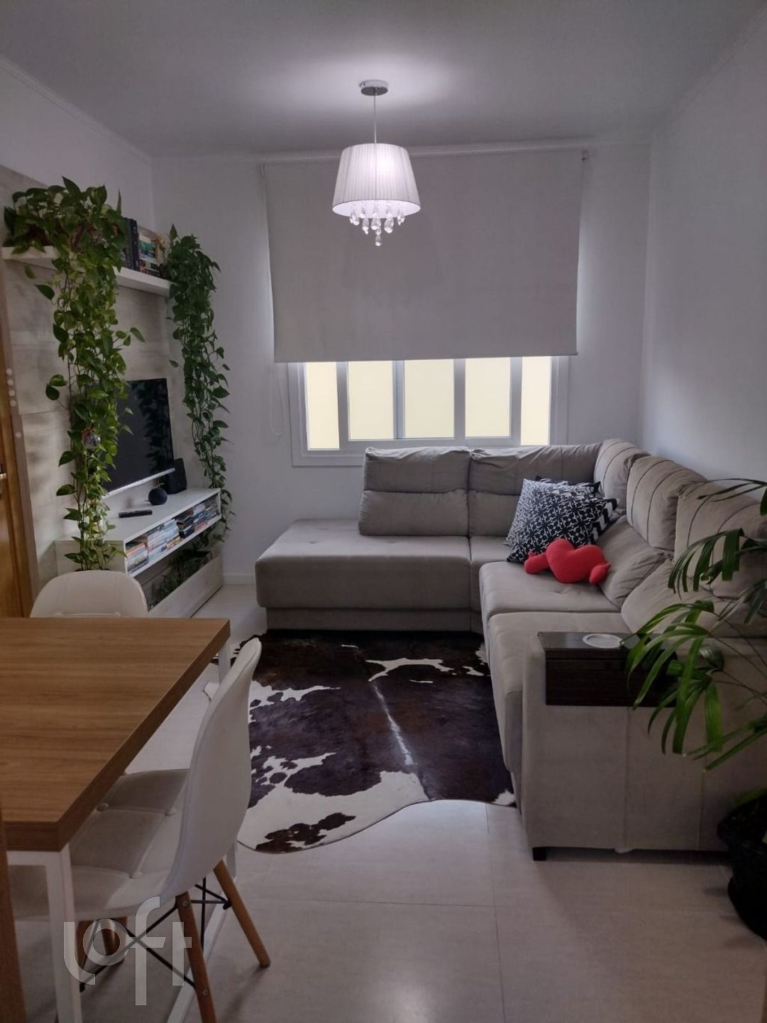 Imagem da propriedade 19