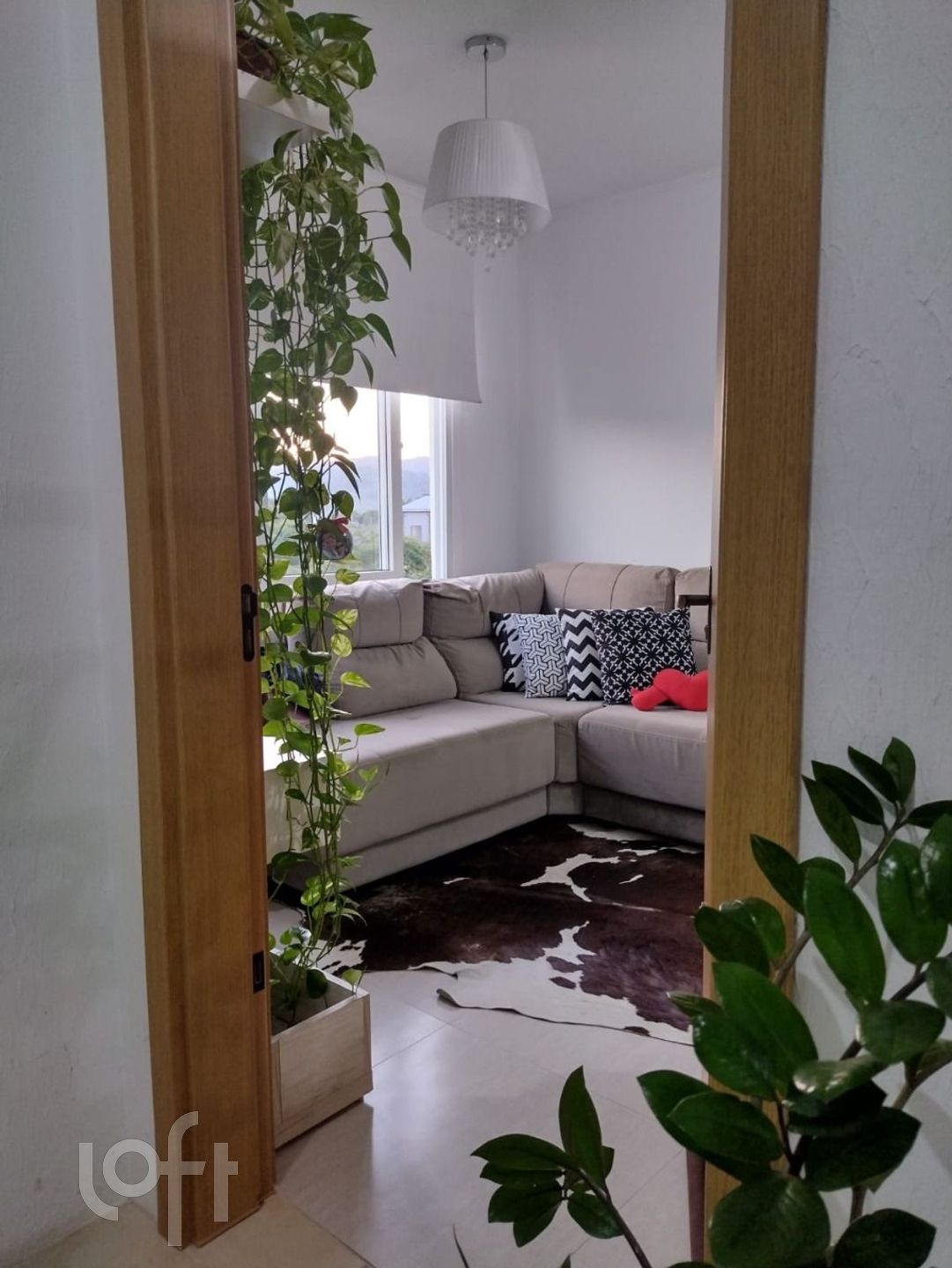 Imagem da propriedade 2