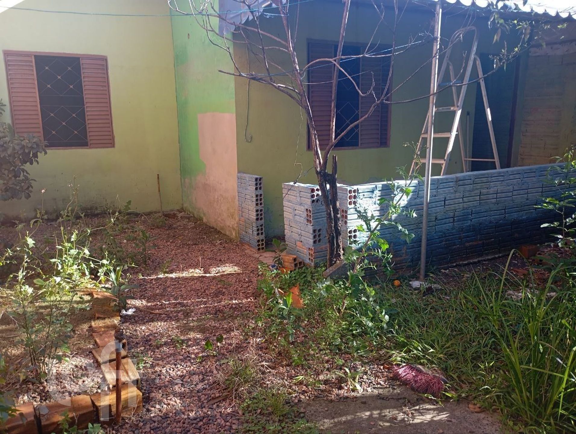 Imagem da propriedade 9