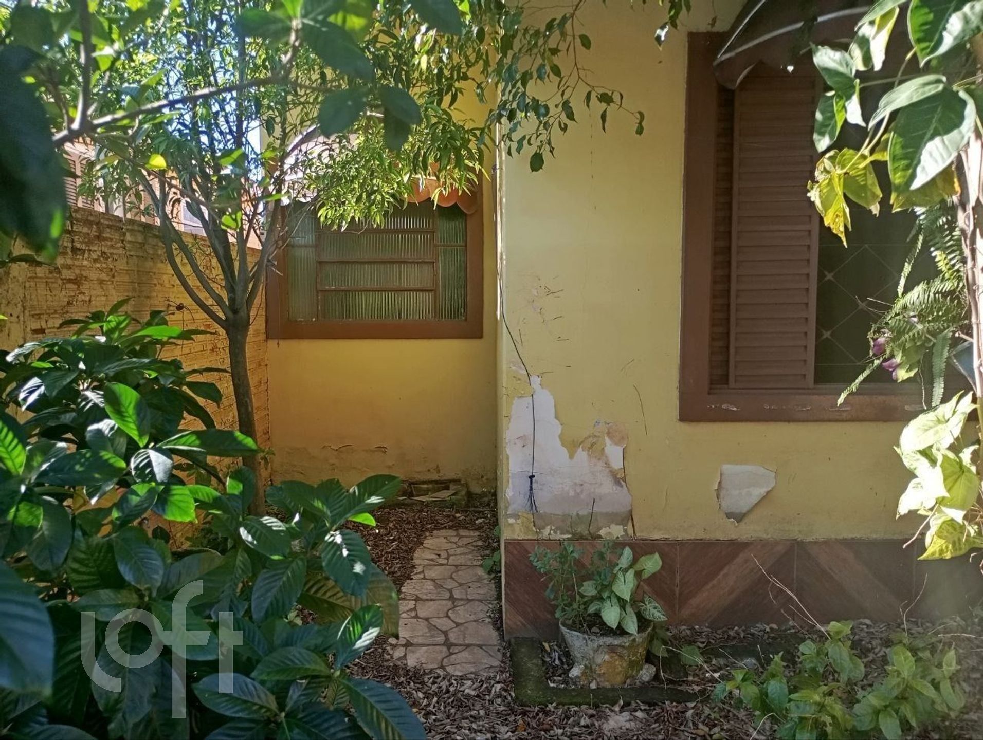 Imagem da propriedade 2