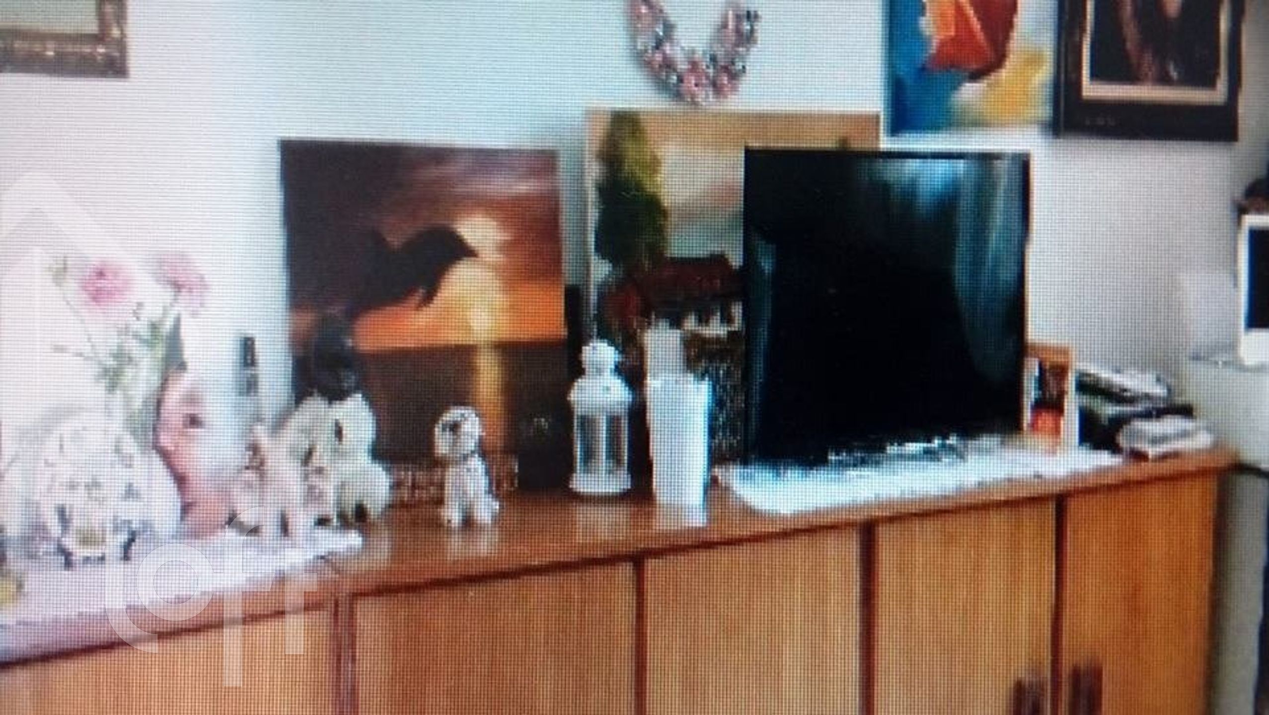 Imagem da propriedade 4