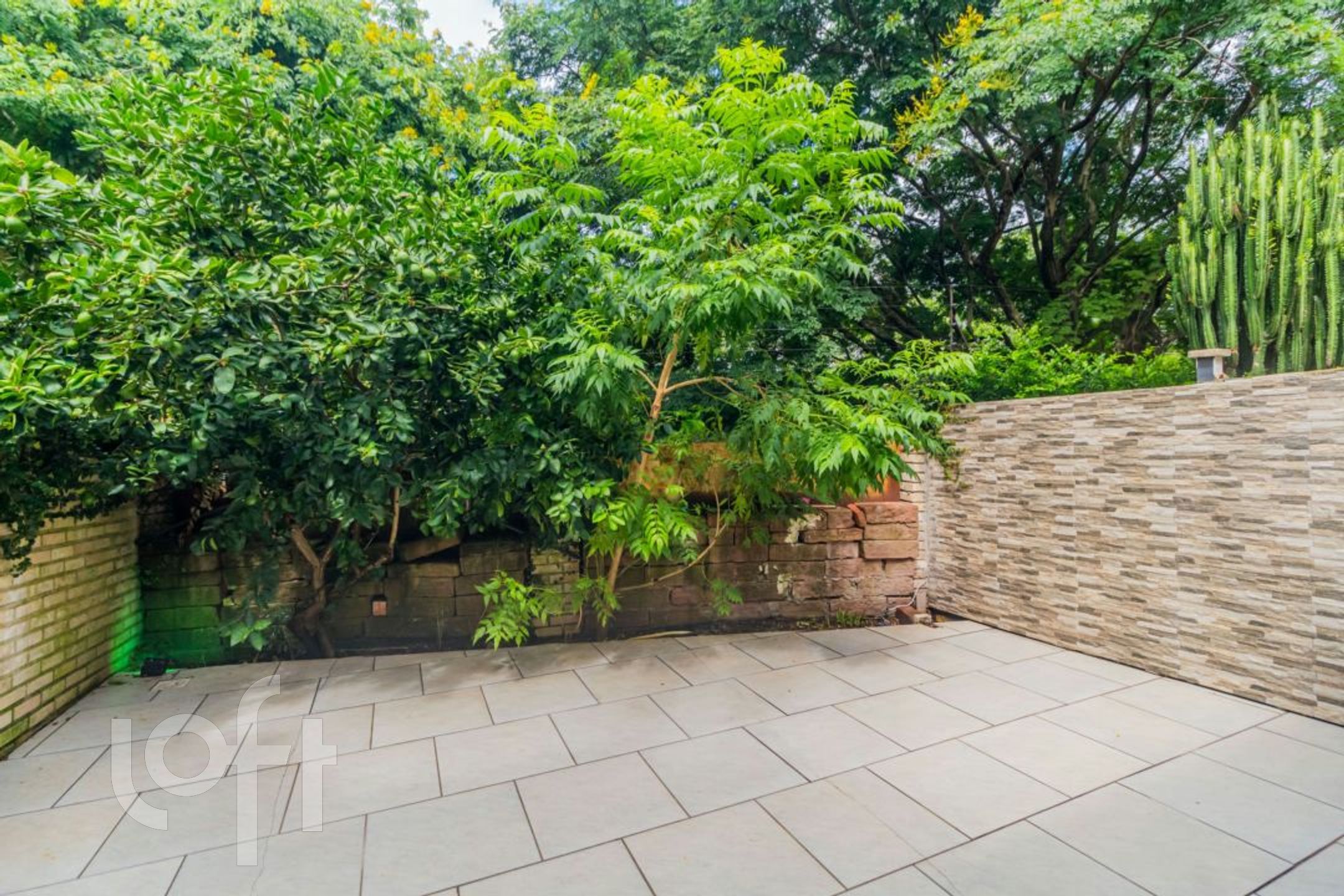 Imagem da propriedade 38