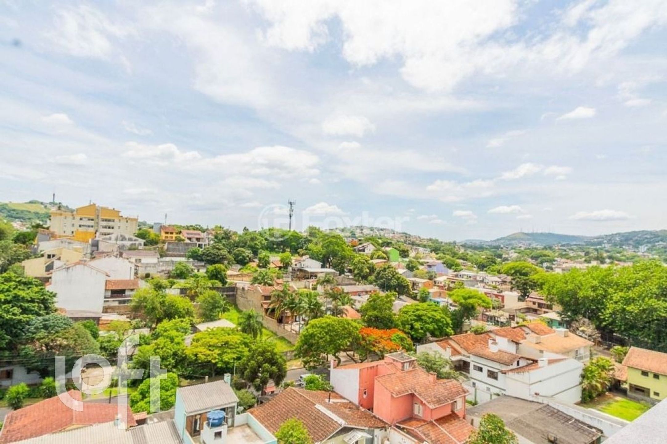 Imagem da propriedade 11