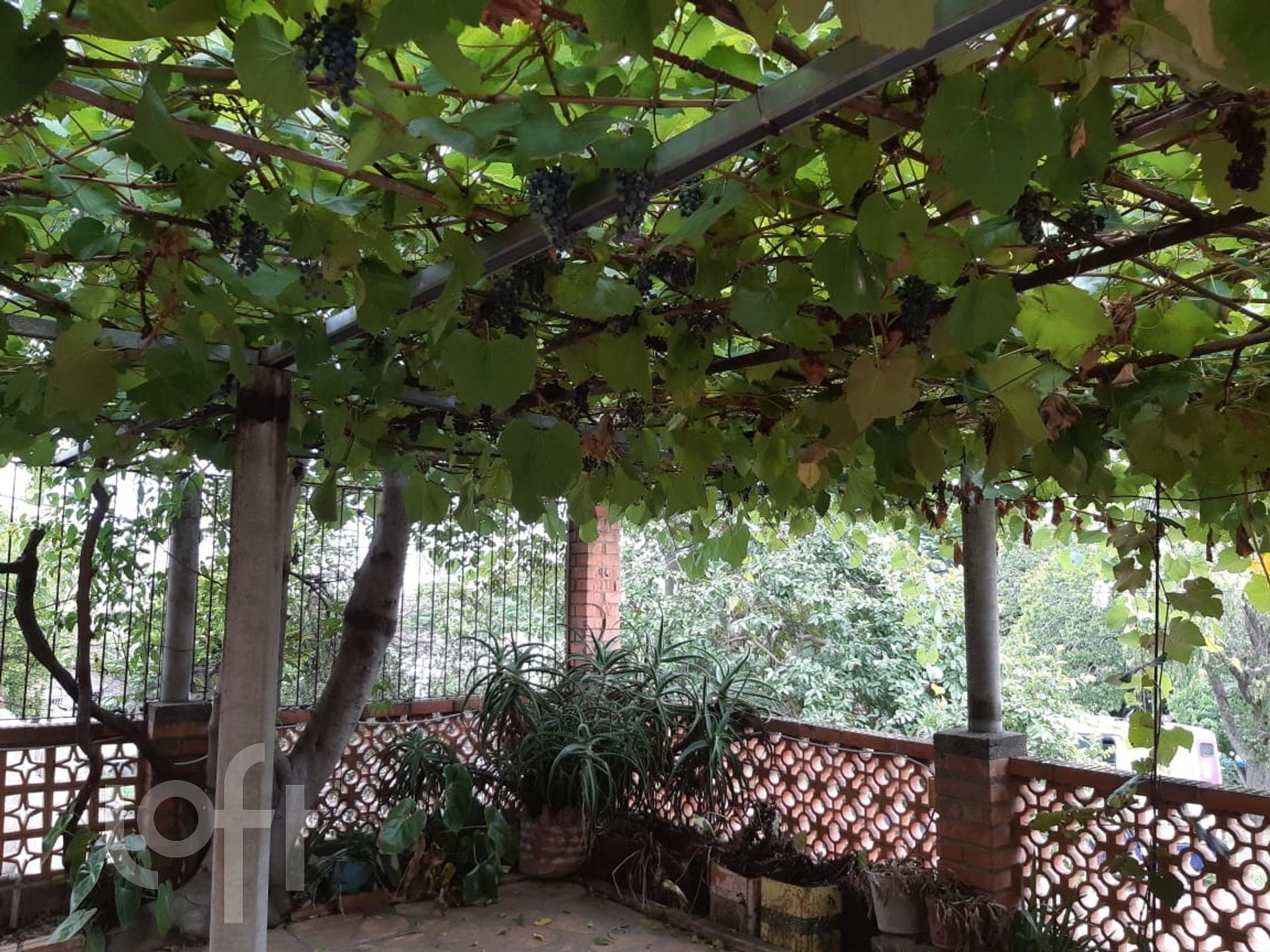 Imagem da propriedade 25