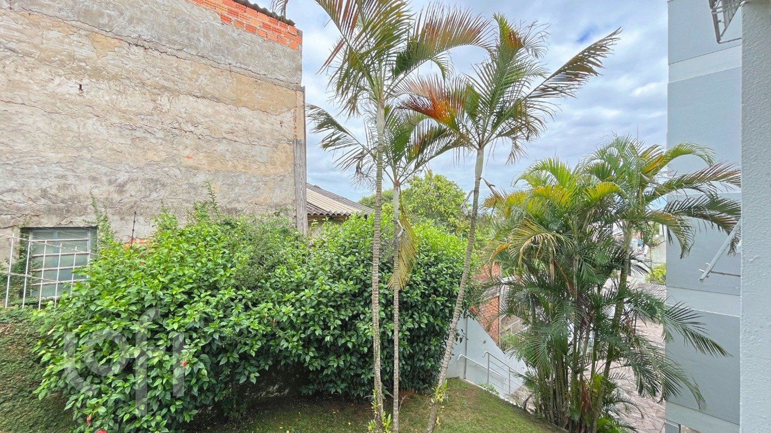 Imagem da propriedade 29