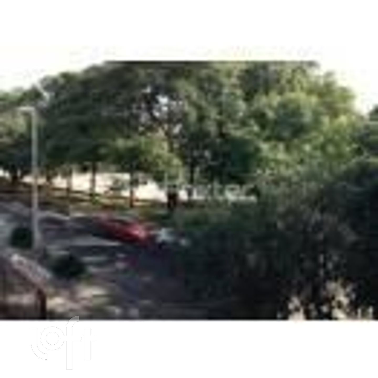 Imagem da propriedade 4