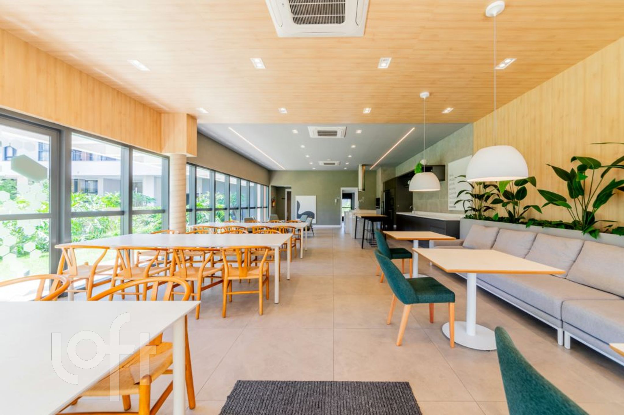 Imagem da propriedade 21