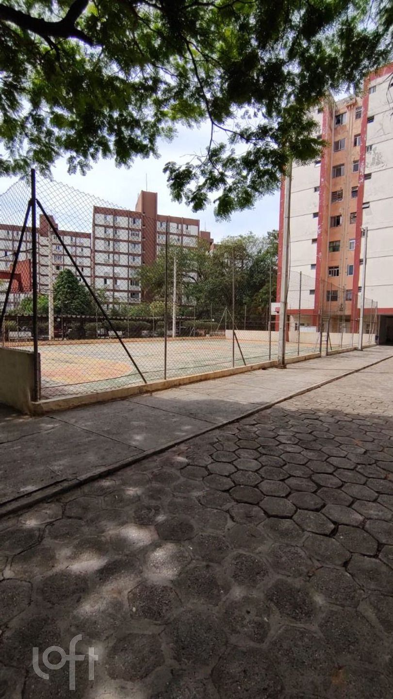 Imagem da propriedade 21