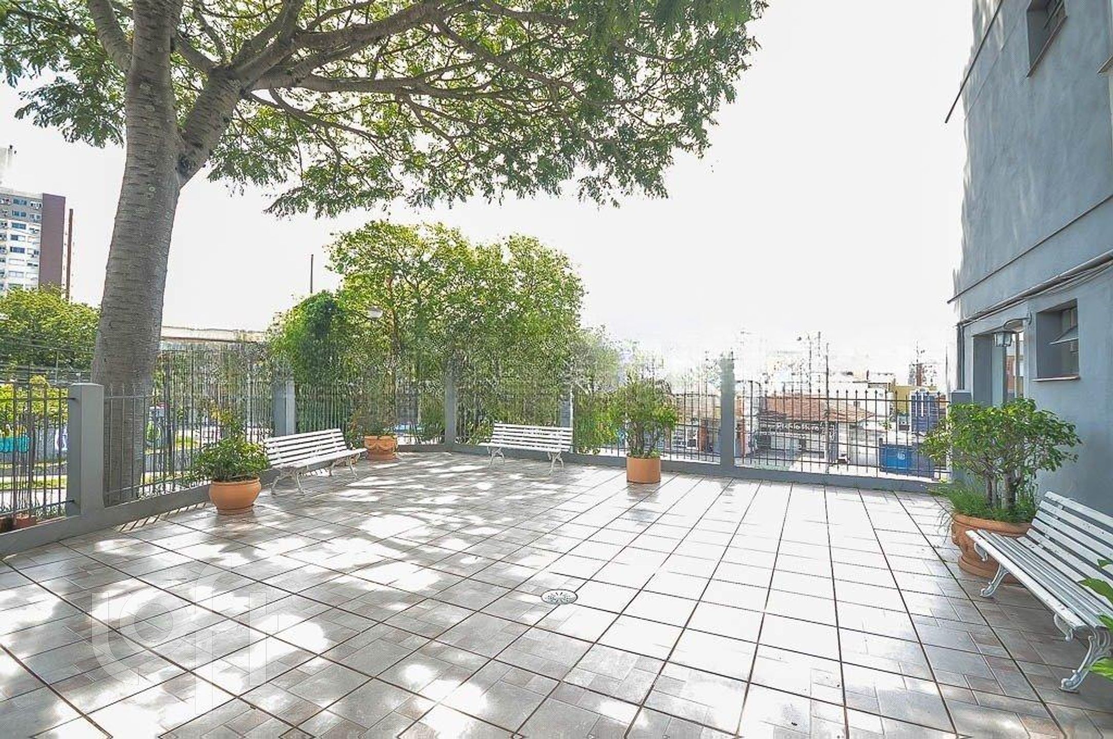 Imagem da propriedade 6