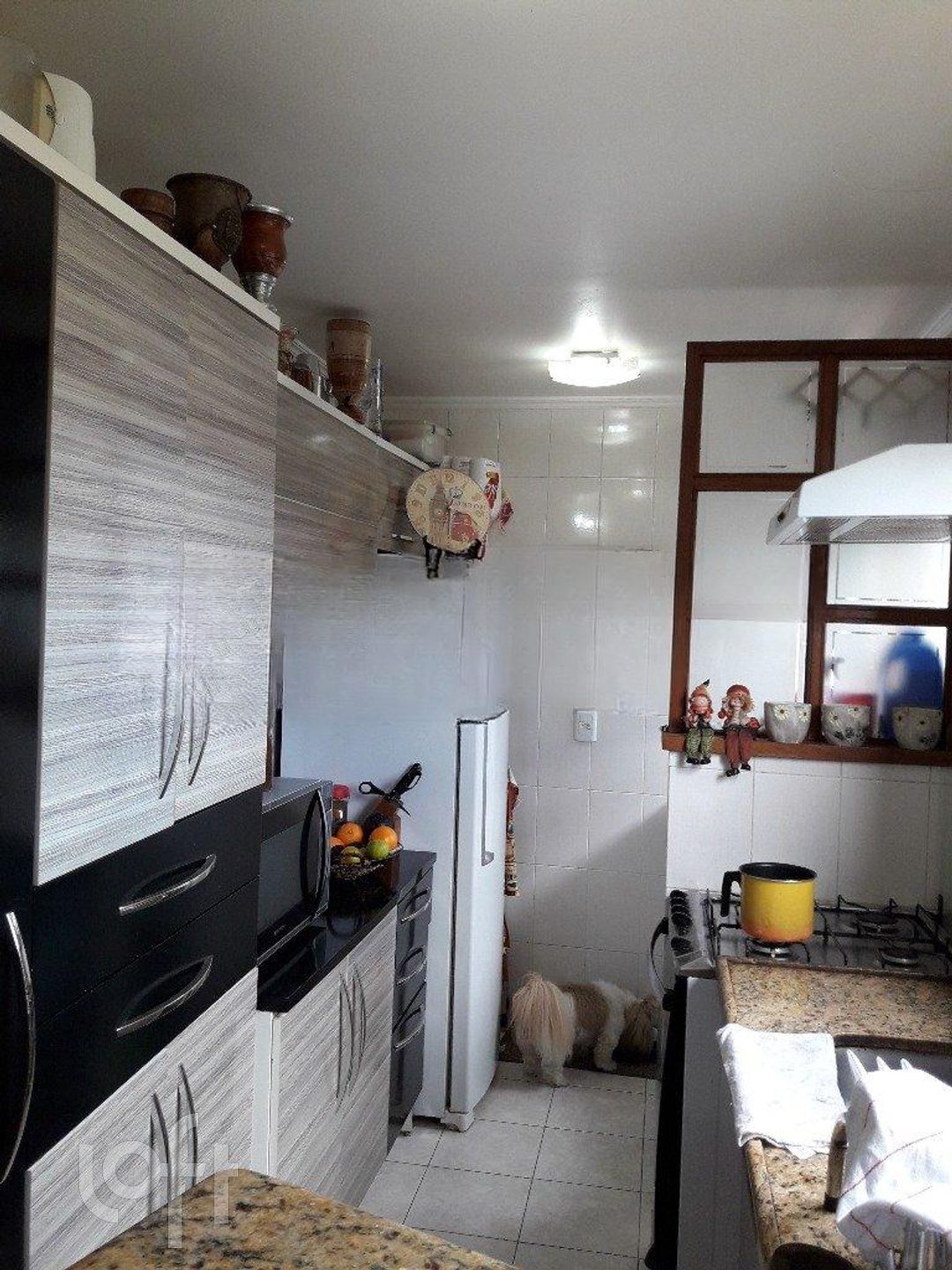 Imagem da propriedade 8