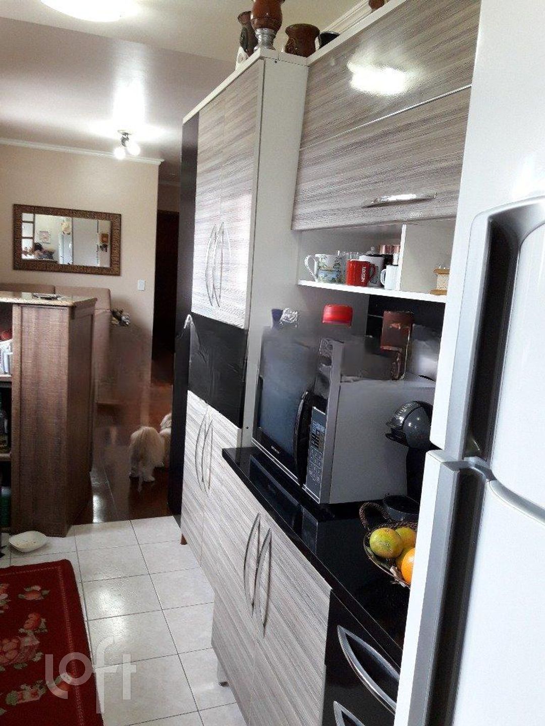 Imagem da propriedade 10