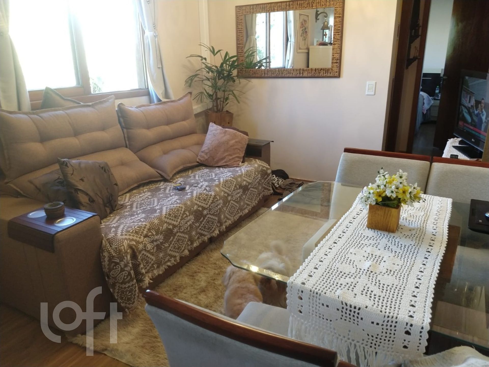 Imagem da propriedade 42