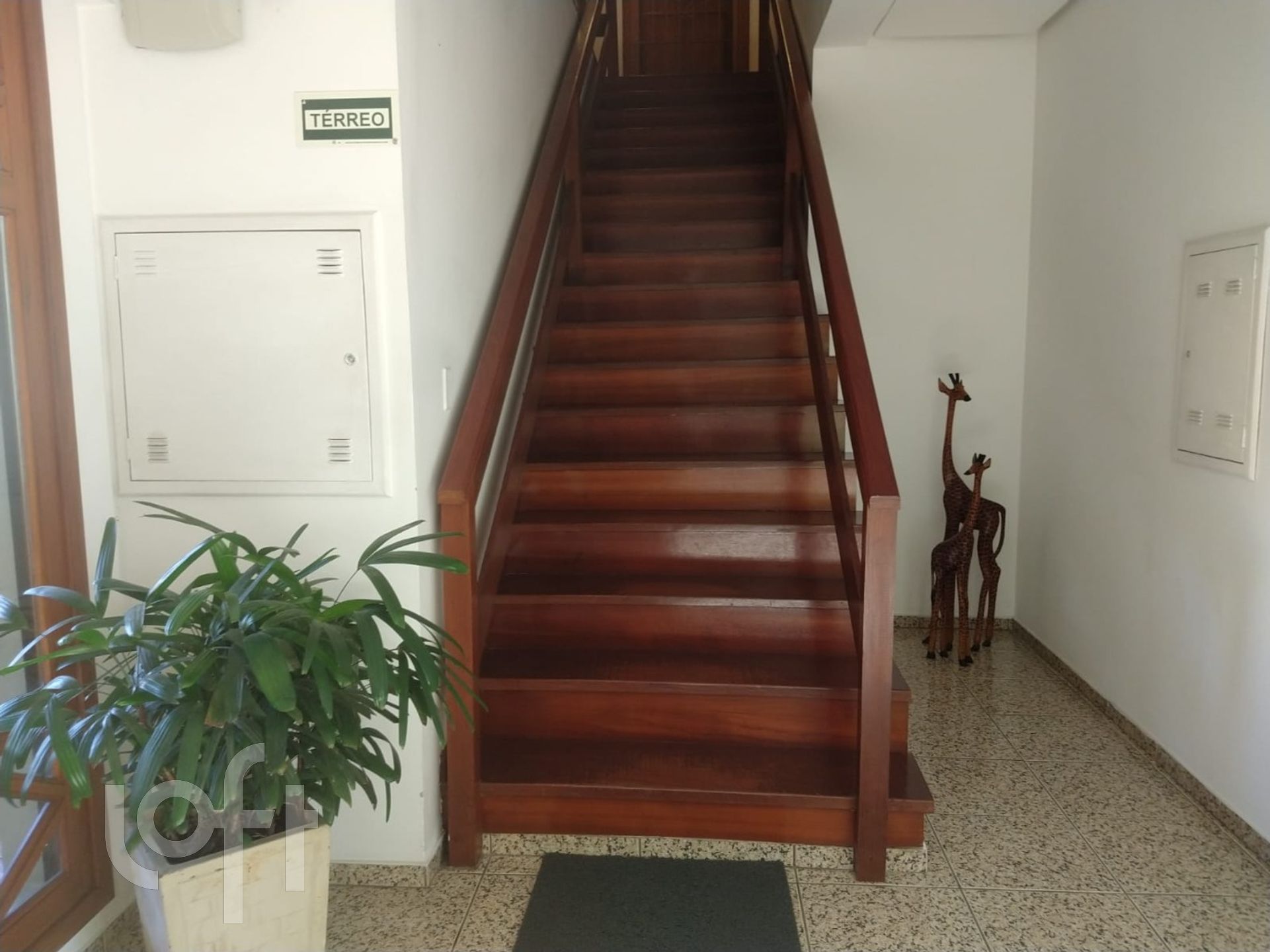 Imagem da propriedade 20