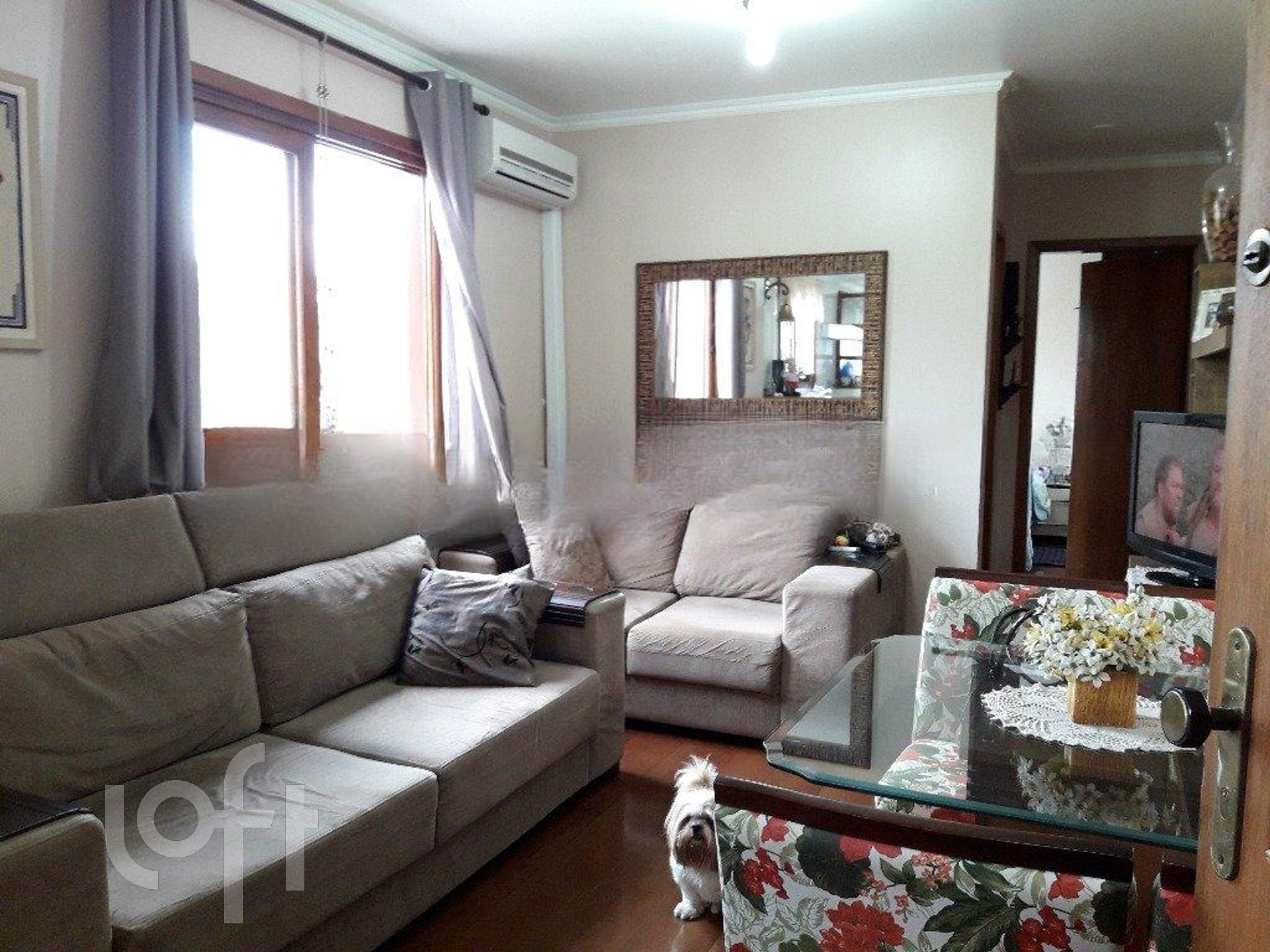 Imagem da propriedade 3