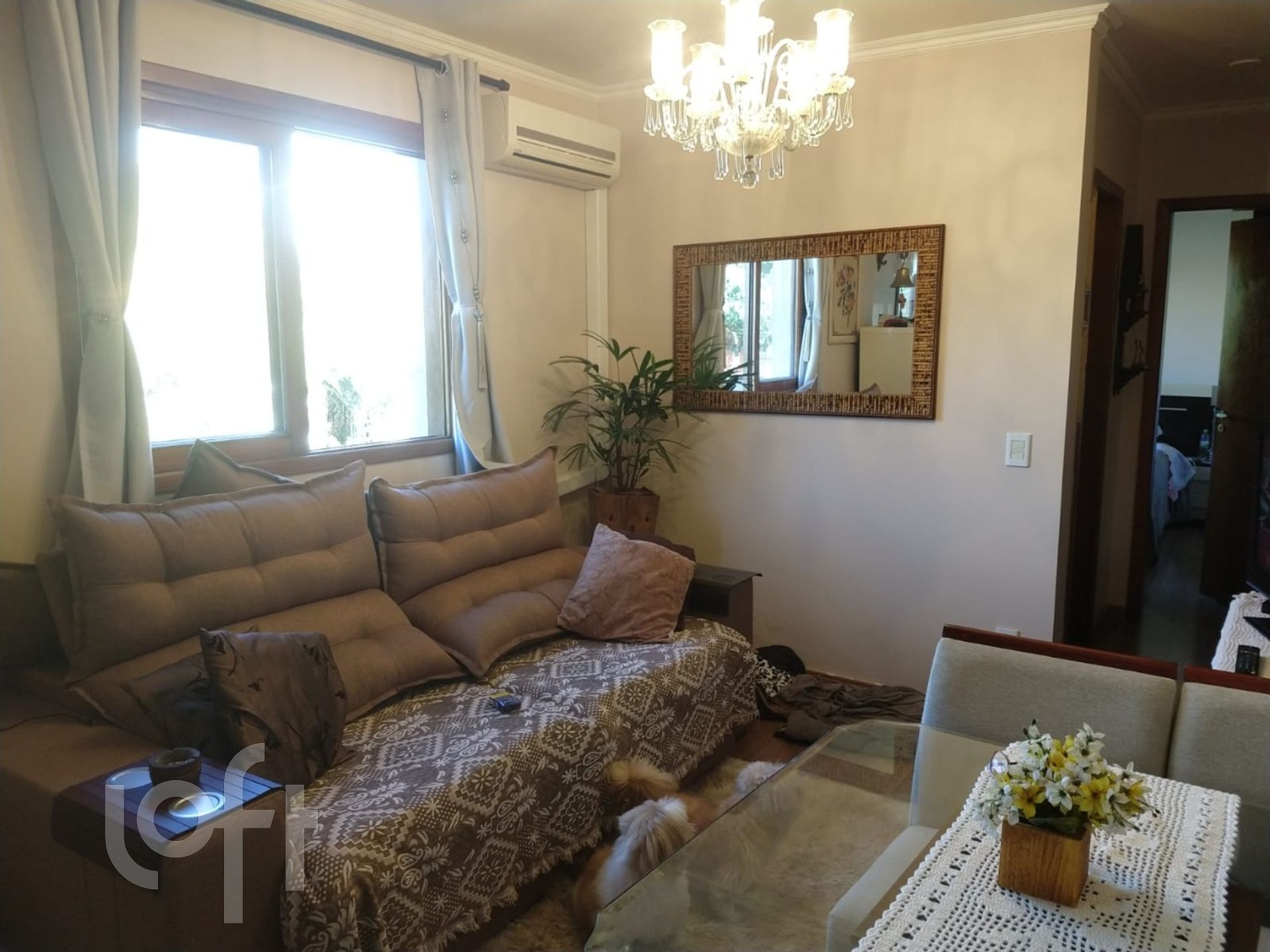 Imagem da propriedade 41