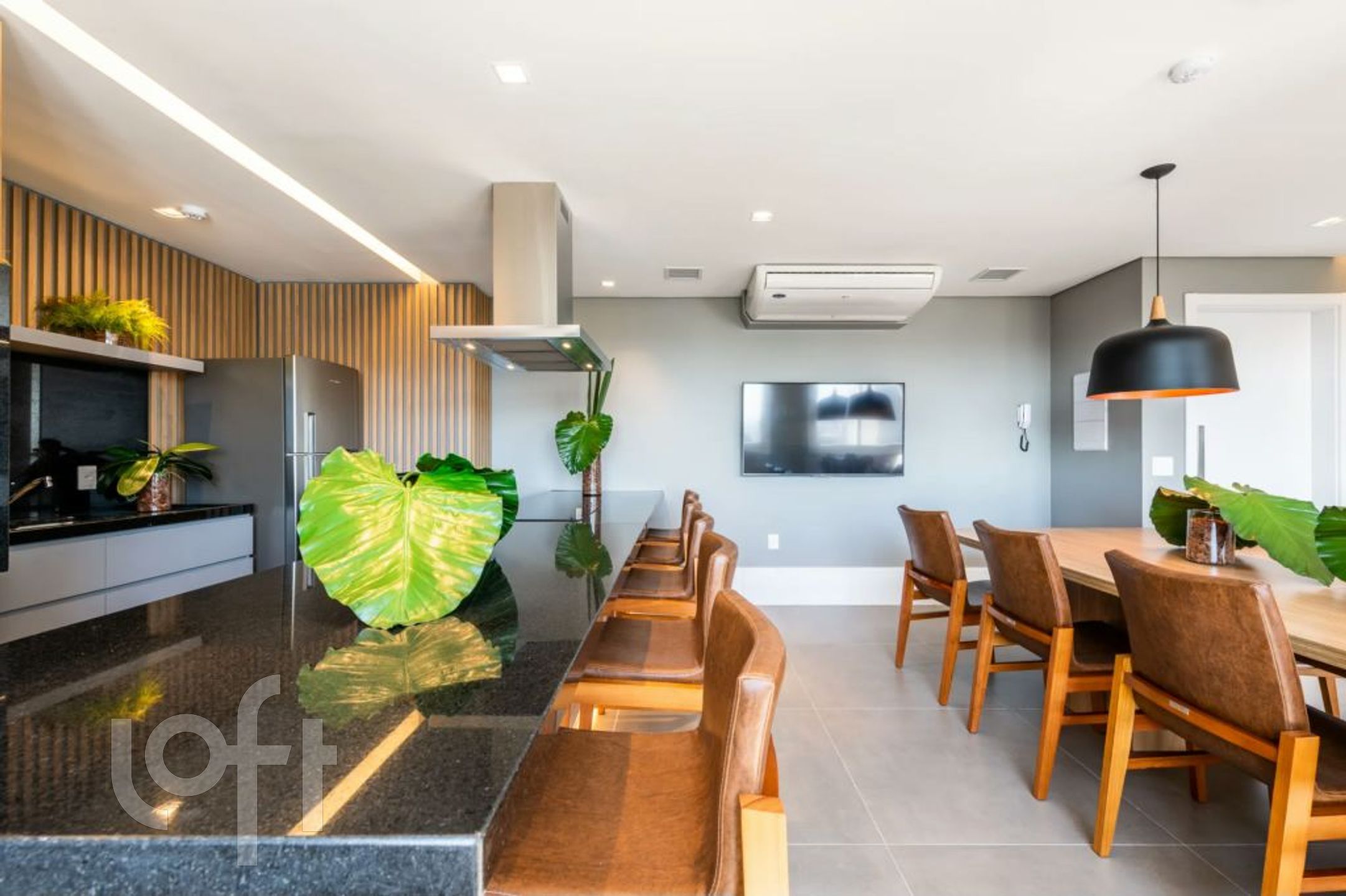 Imagem da propriedade 12