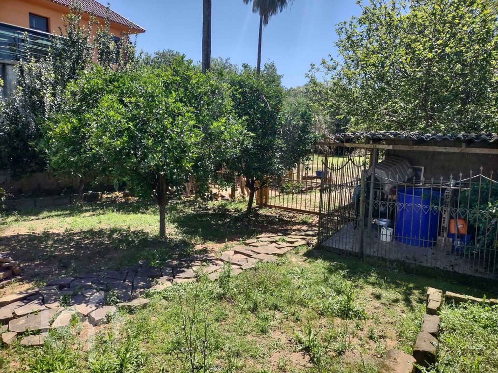 Imagem da propriedade 15