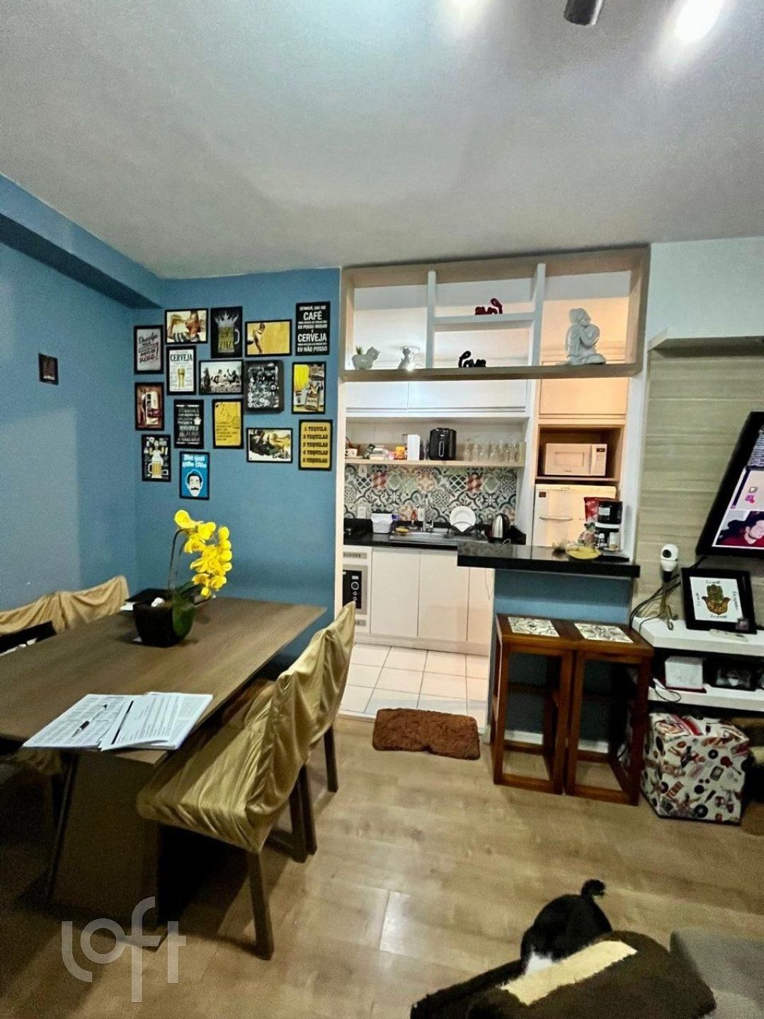 Imagem da propriedade 3