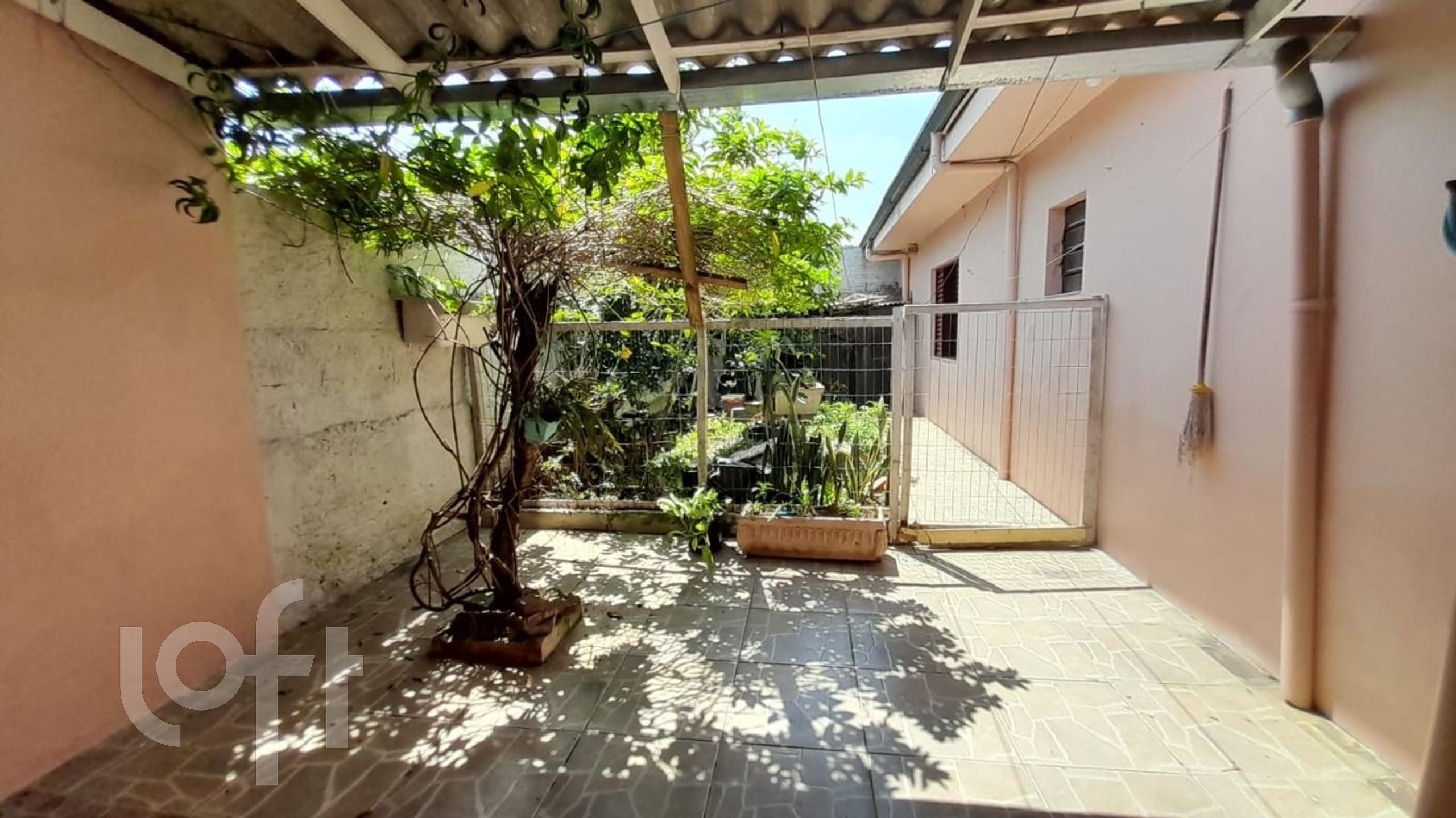 Imagem da propriedade 19