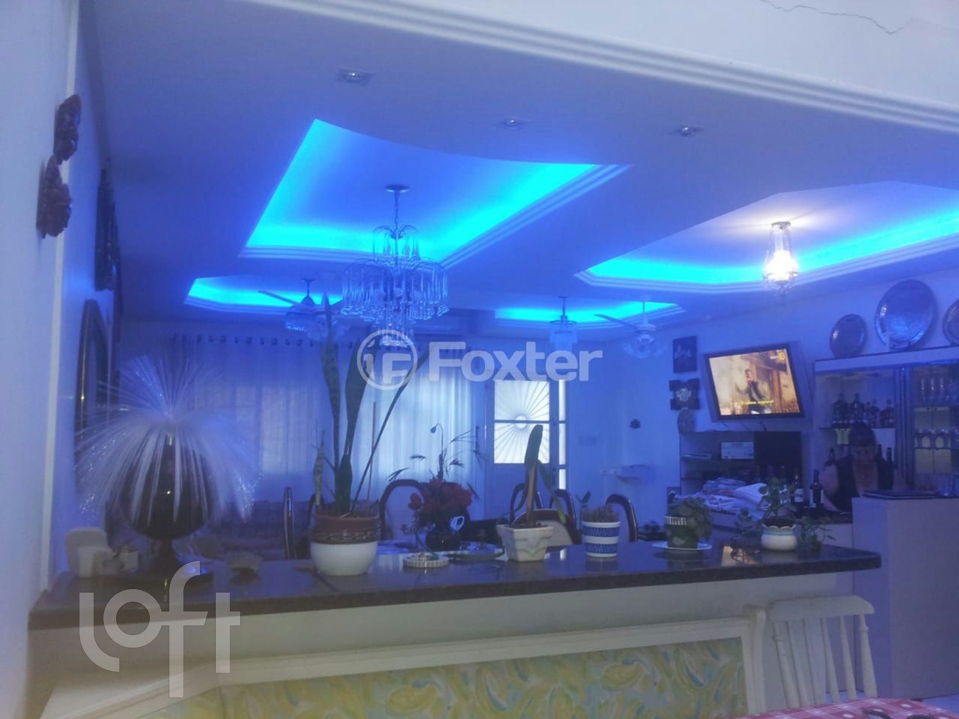 Imagem da propriedade 5