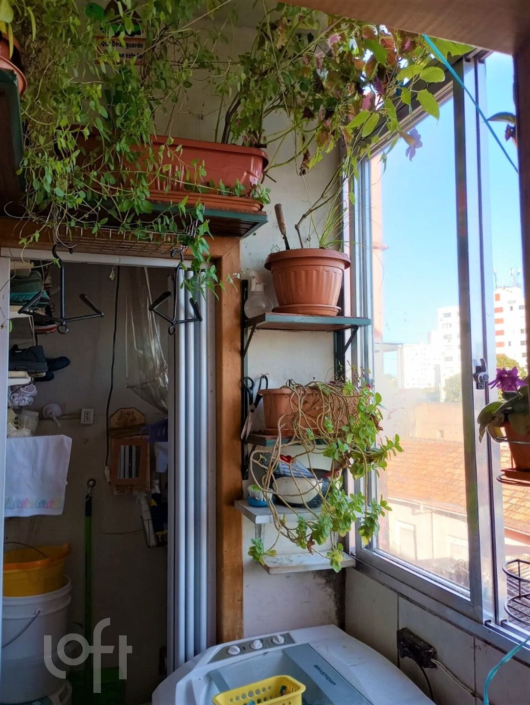 Imagem da propriedade 13