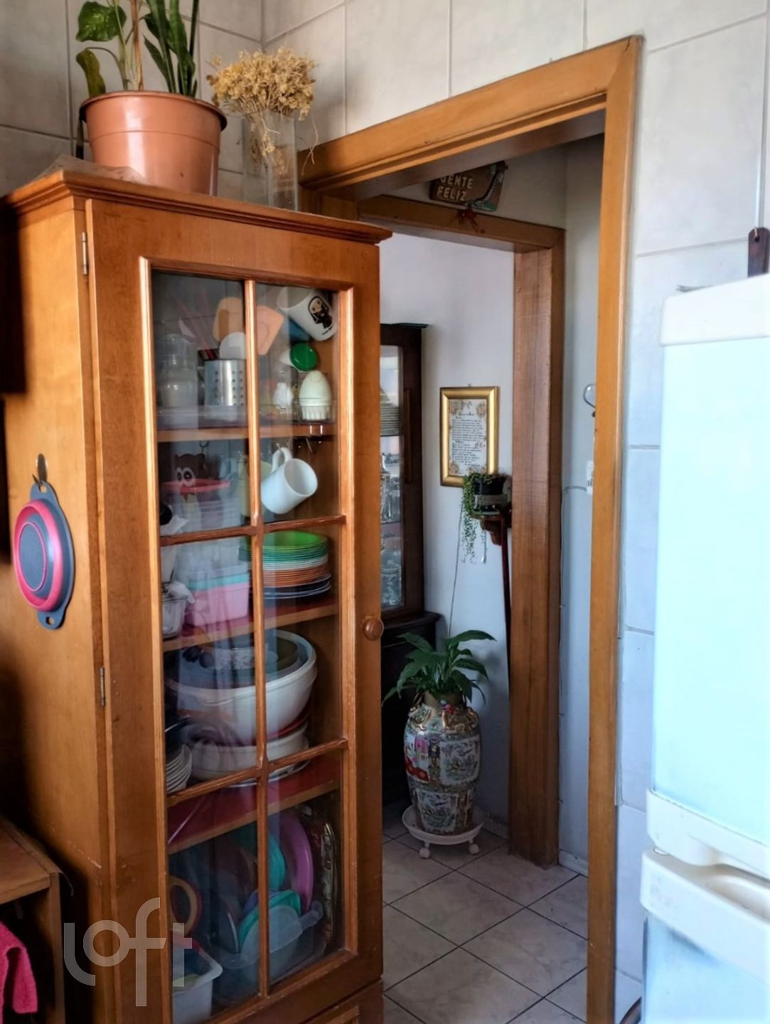 Imagem da propriedade 8