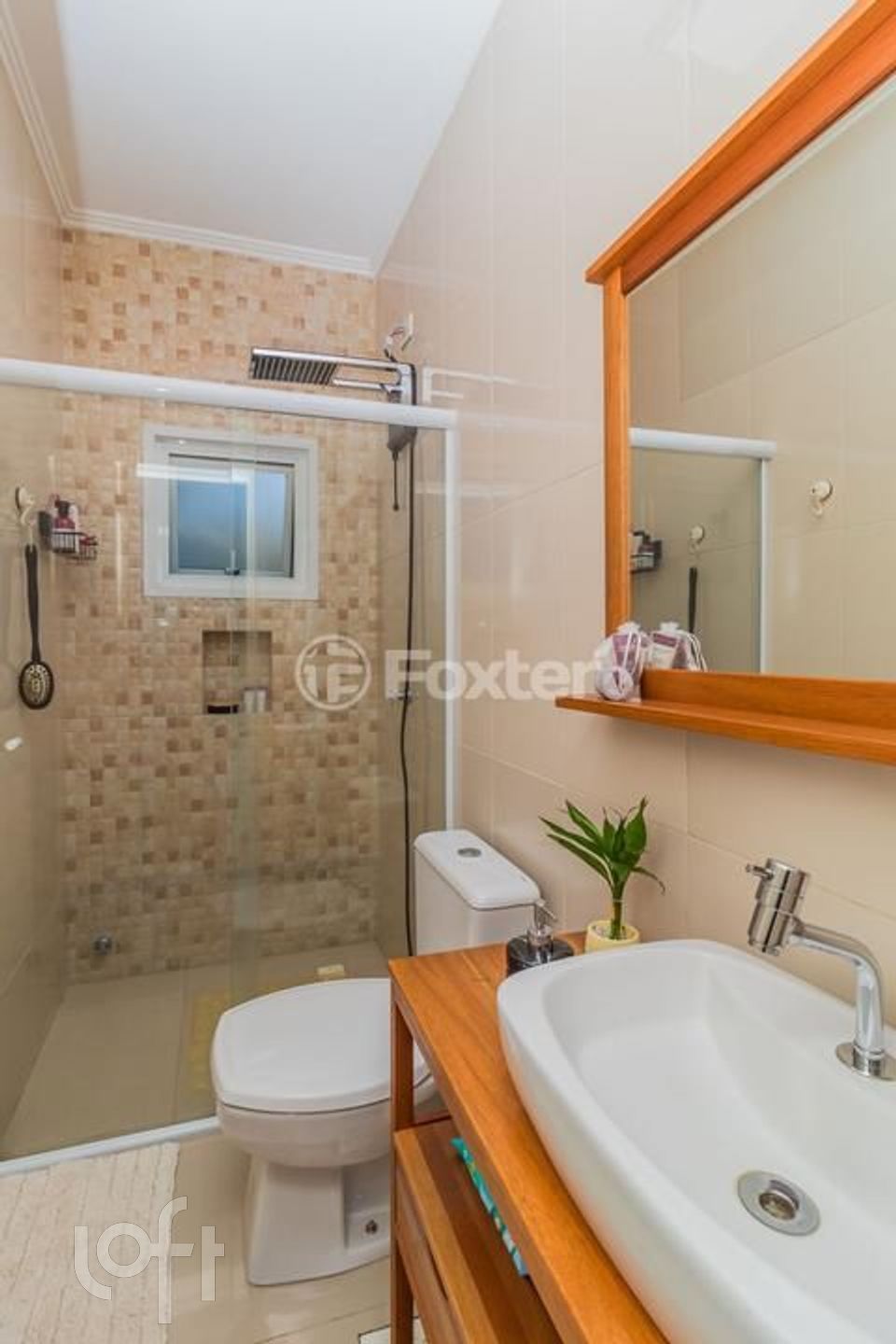 Imagem da propriedade 5