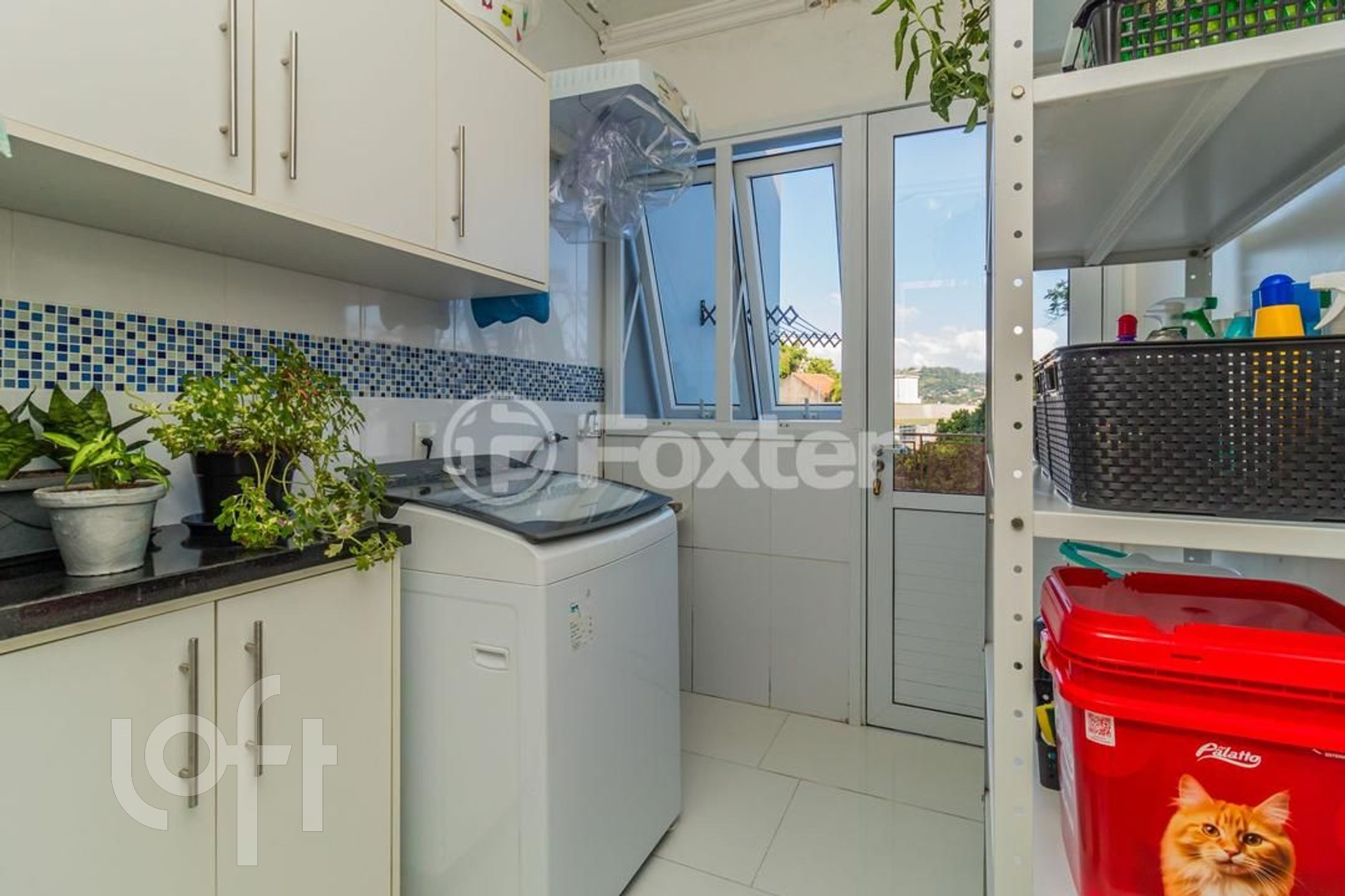 Imagem da propriedade 13