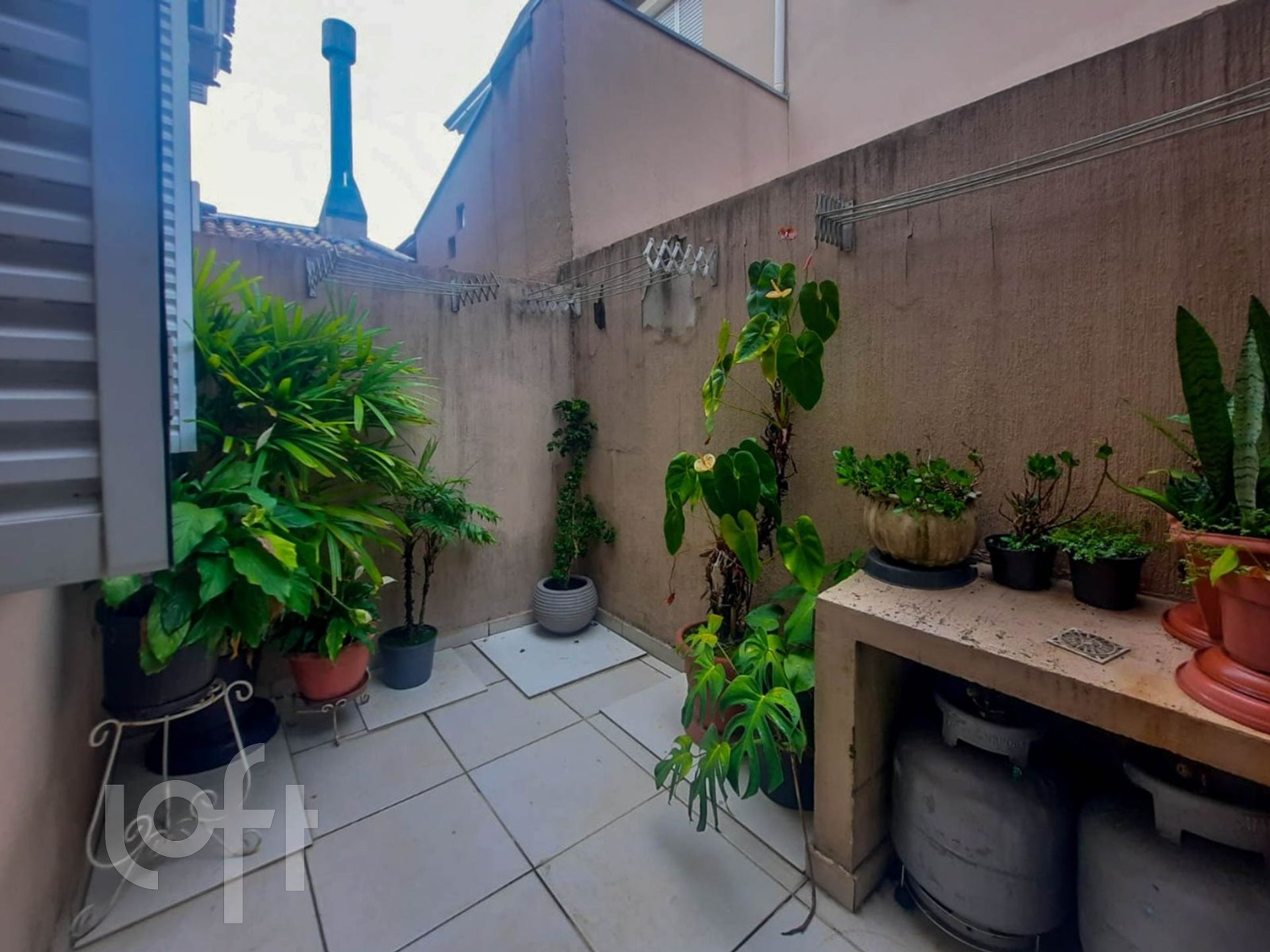 Imagem da propriedade 10