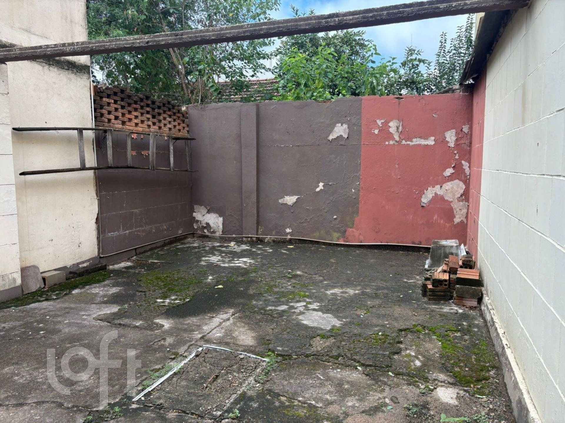 Imagem da propriedade 16