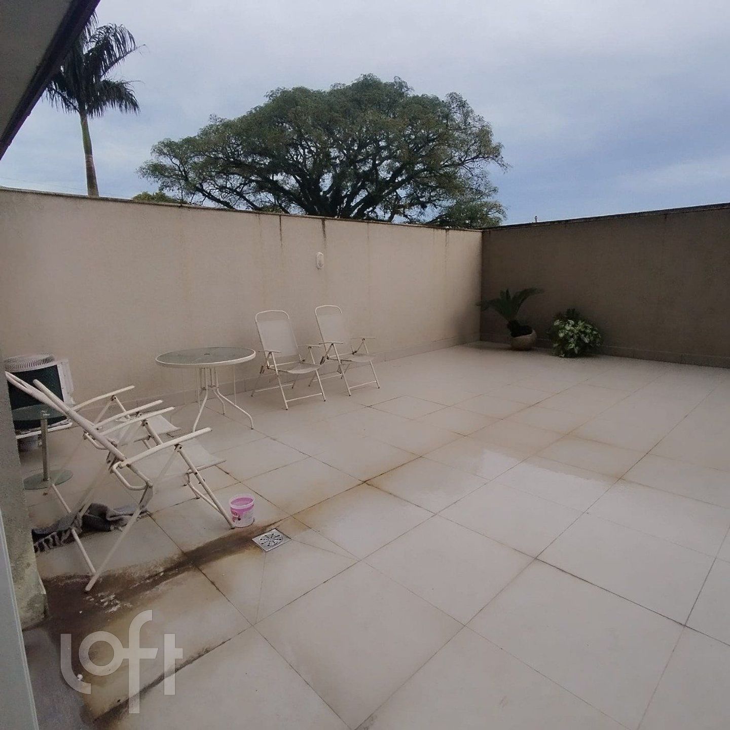 Imagem da propriedade 12