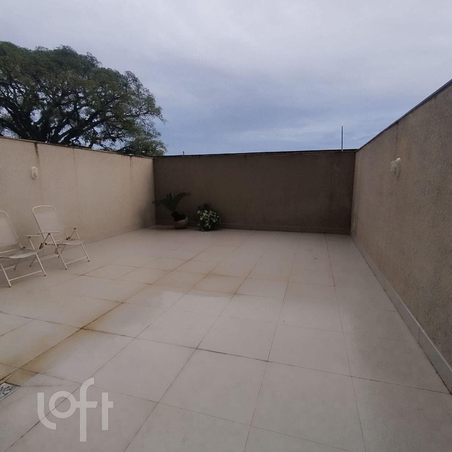 Imagem da propriedade 3