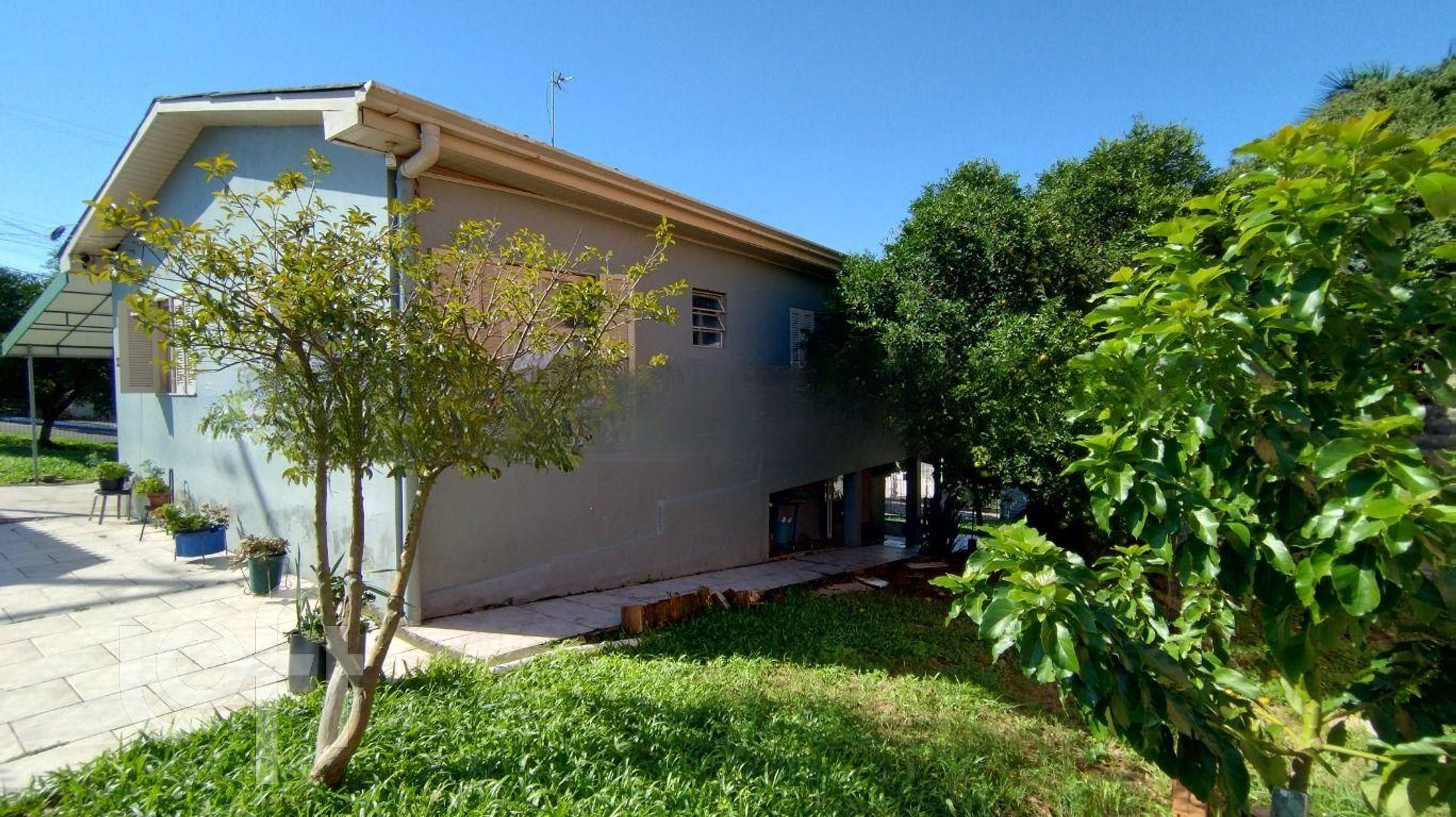 Imagem da propriedade 3