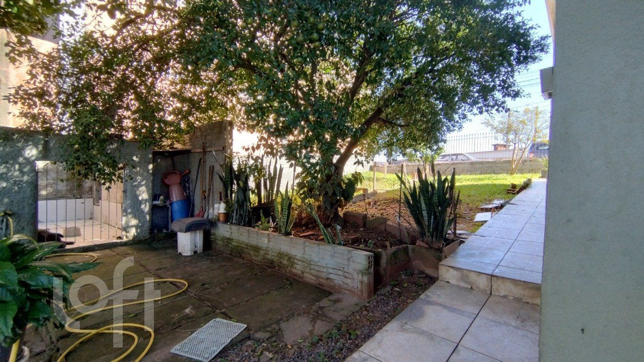 Imagem da propriedade 25