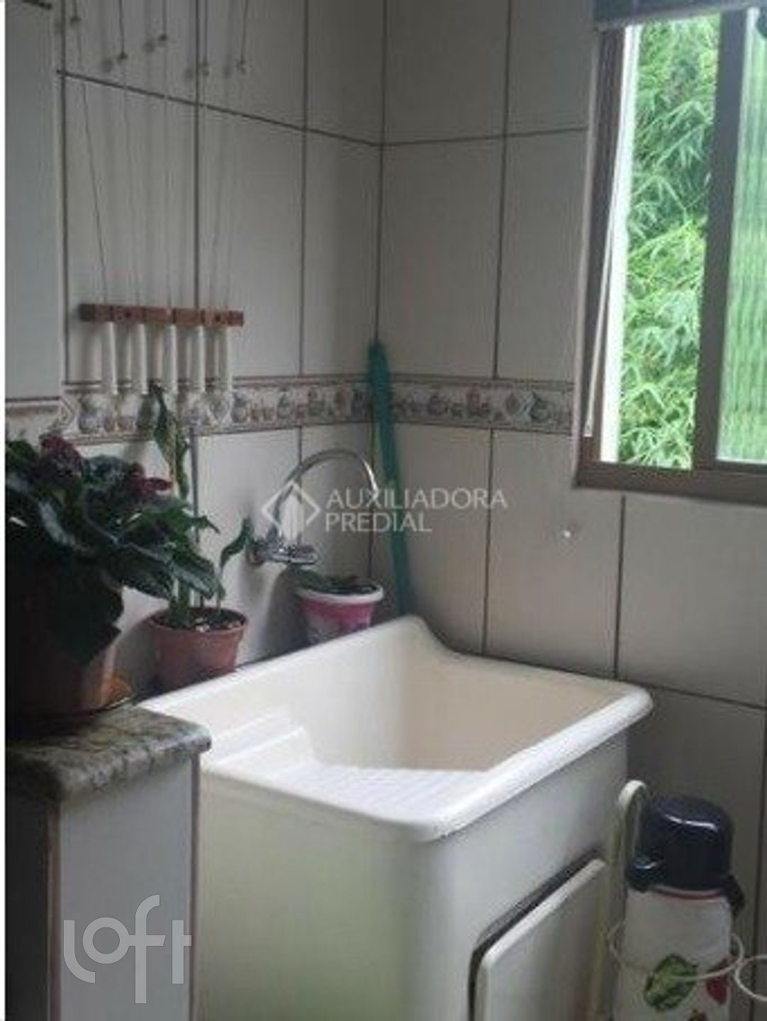 Imagem da propriedade 9