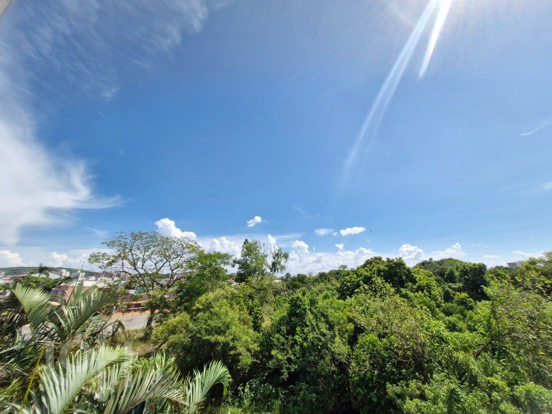 Imagem da propriedade 6