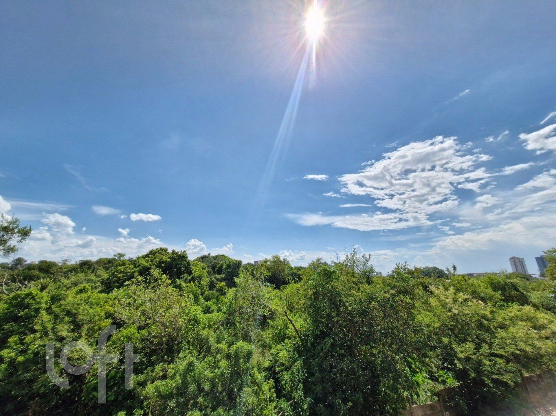 Imagem da propriedade 5