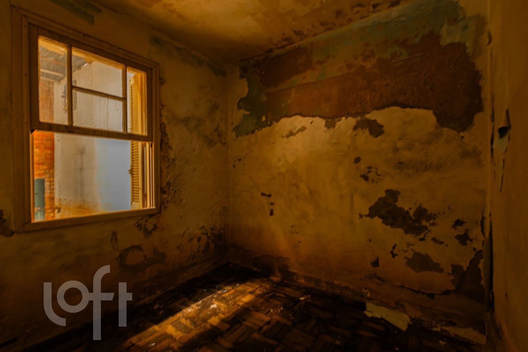 Imagem da propriedade 18