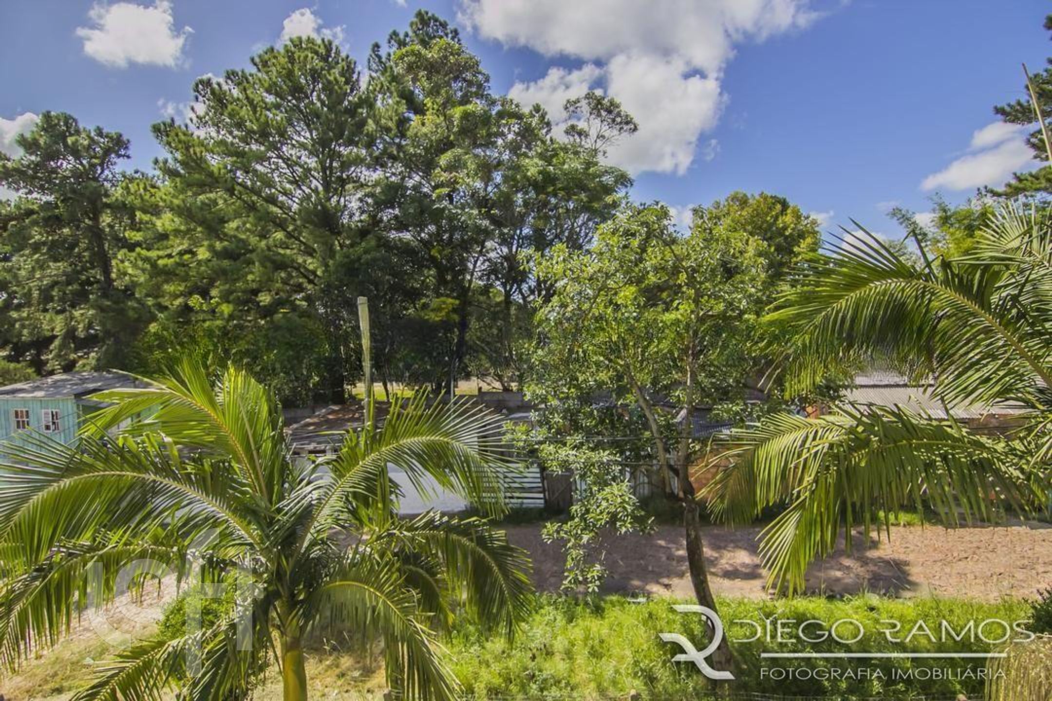 Imagem da propriedade 26