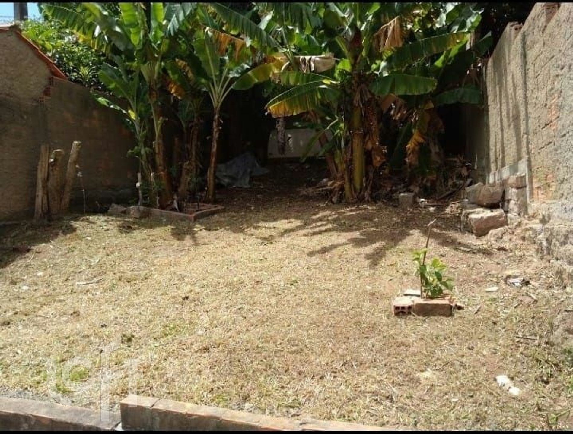 Imagem da propriedade 18