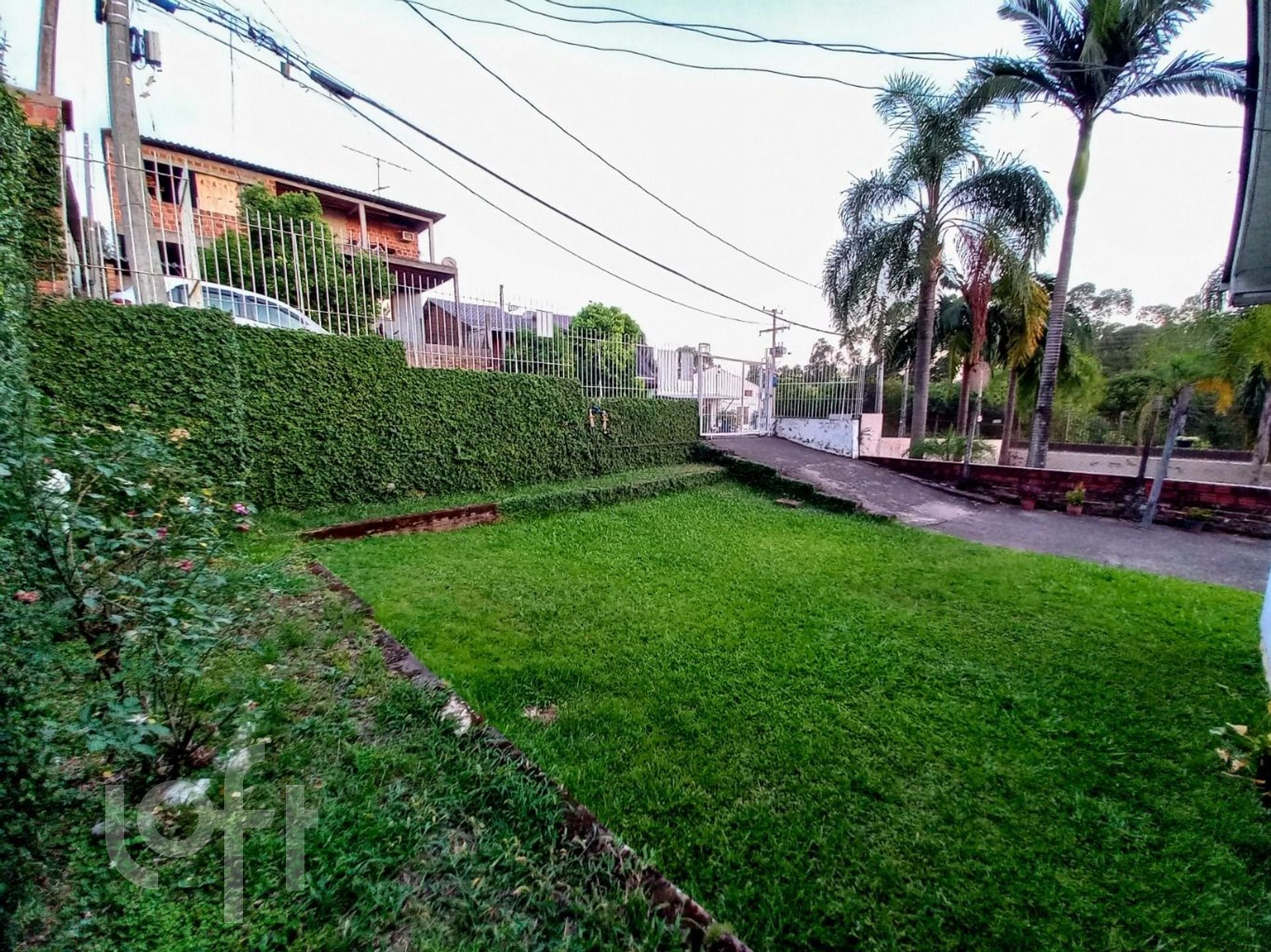 Imagem da propriedade 5