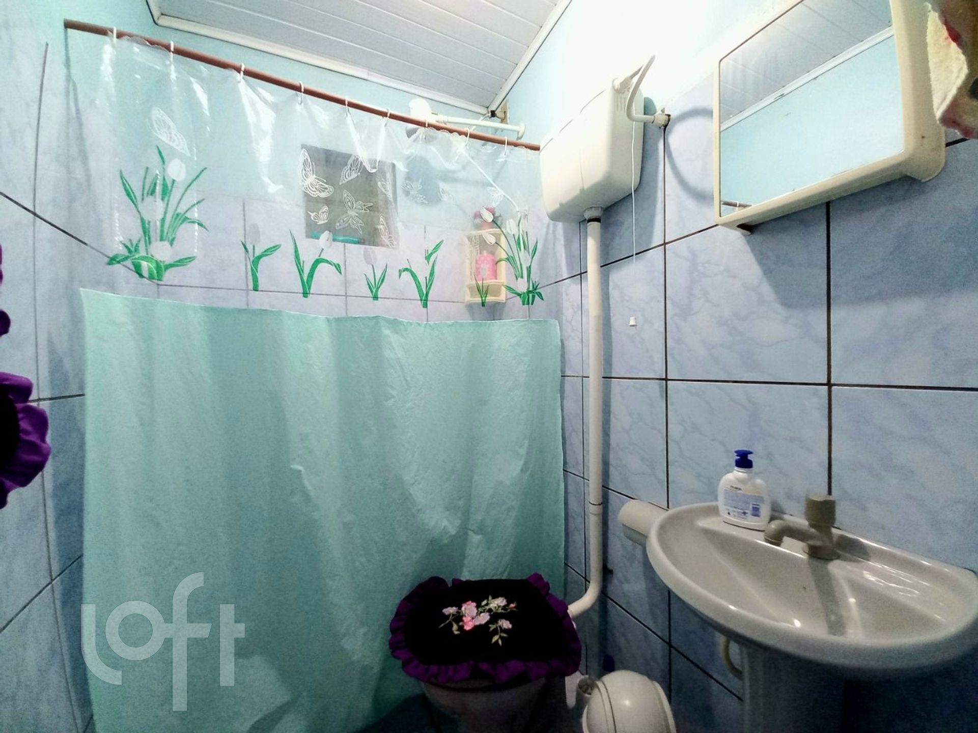 Imagem da propriedade 11