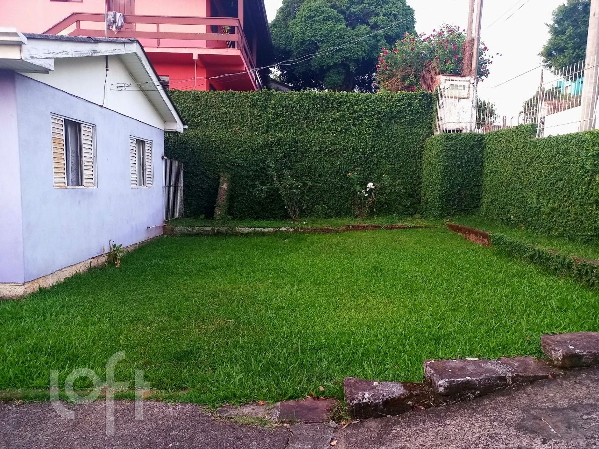 Imagem da propriedade 3