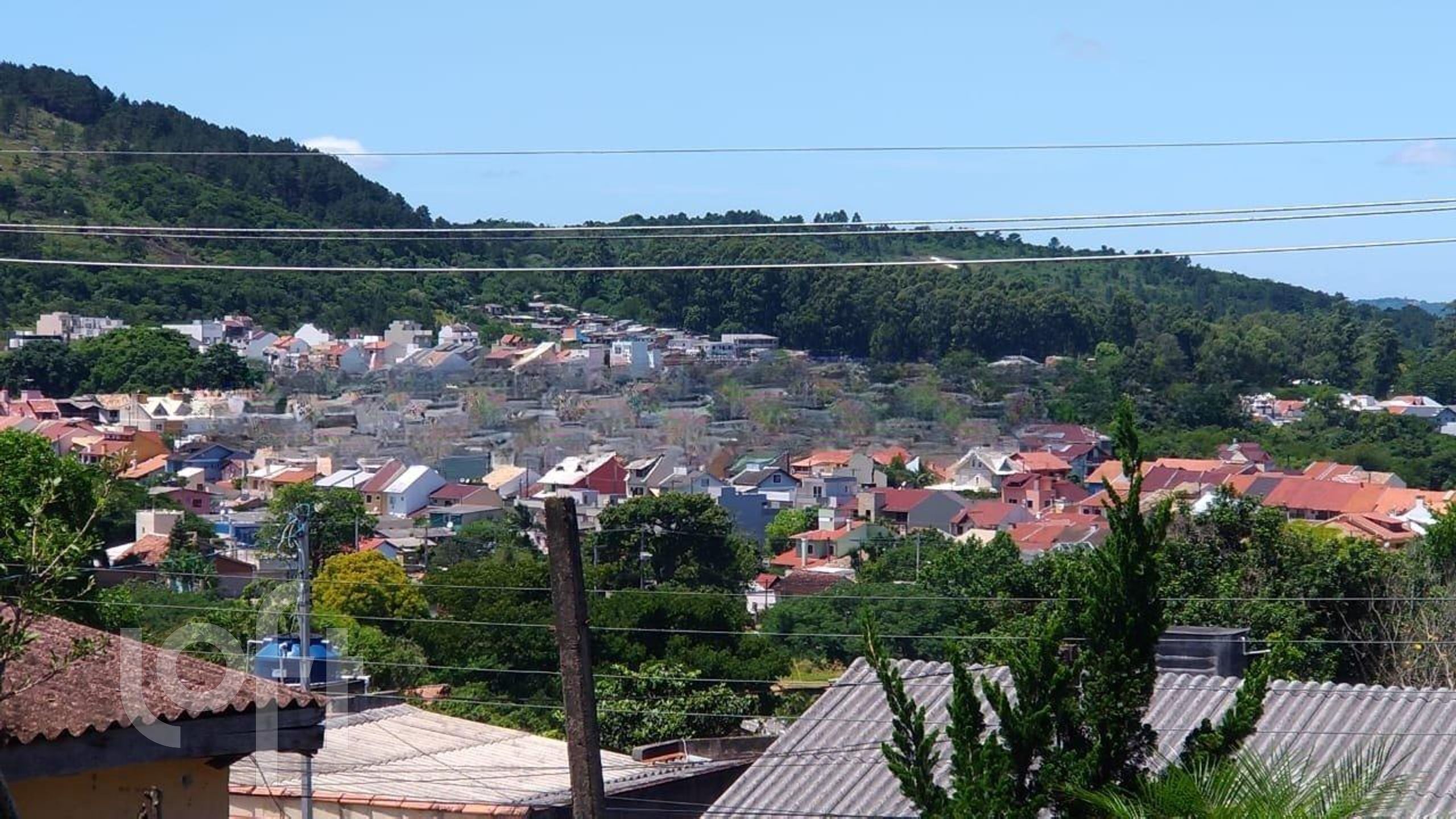 Imagem da propriedade 25